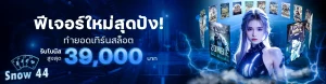 เข้าเล่นsnow44