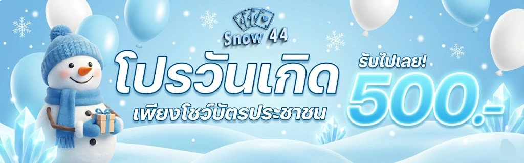 โปรโมชั่นSnow44